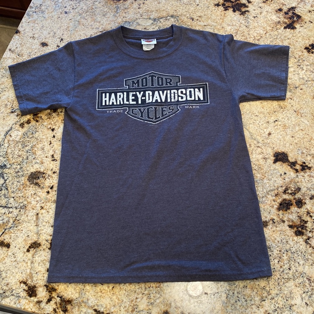 Harley-Davidson Lancaster Shirt Sleeve Tee